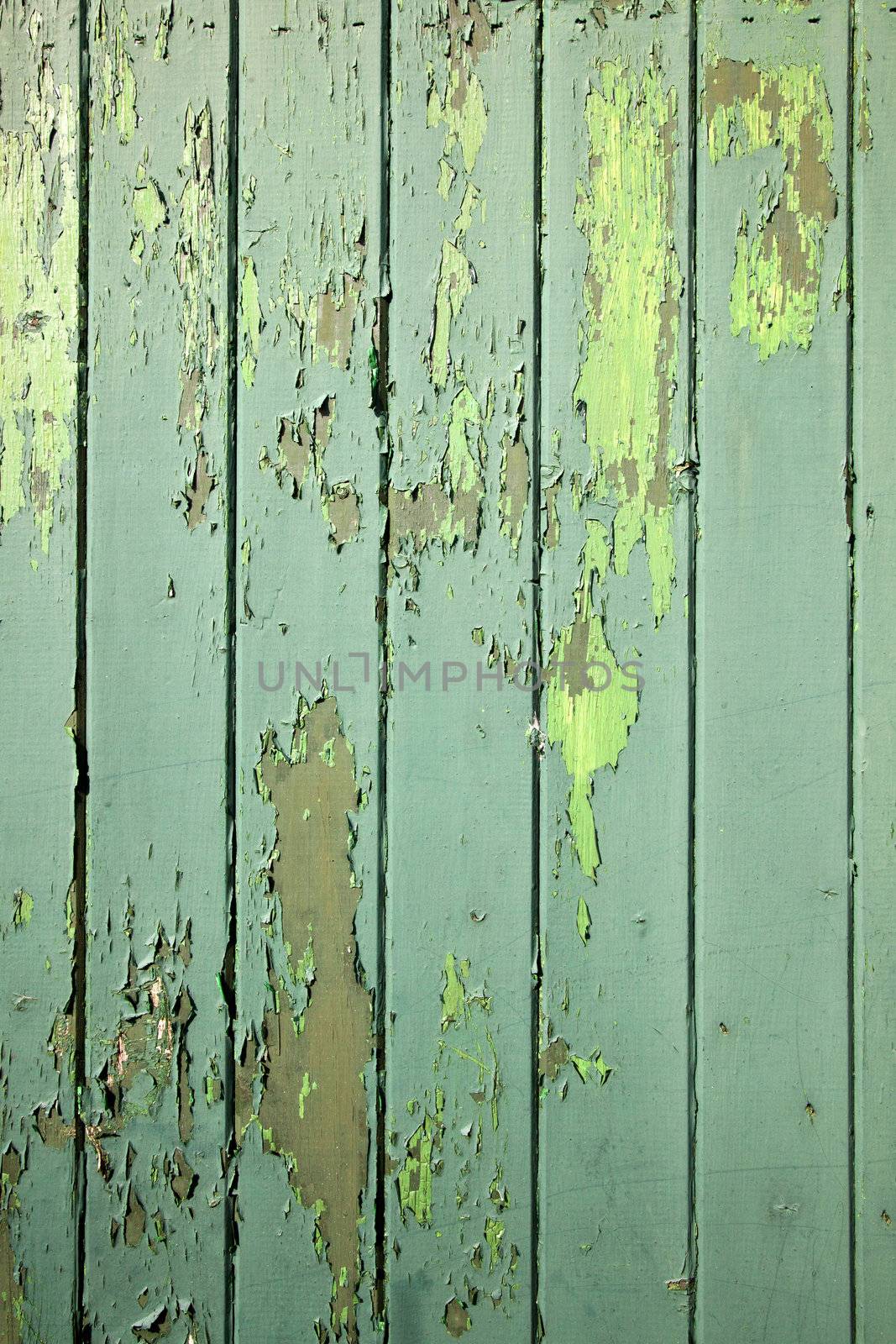 part of green weathered wooden fencing or boarding