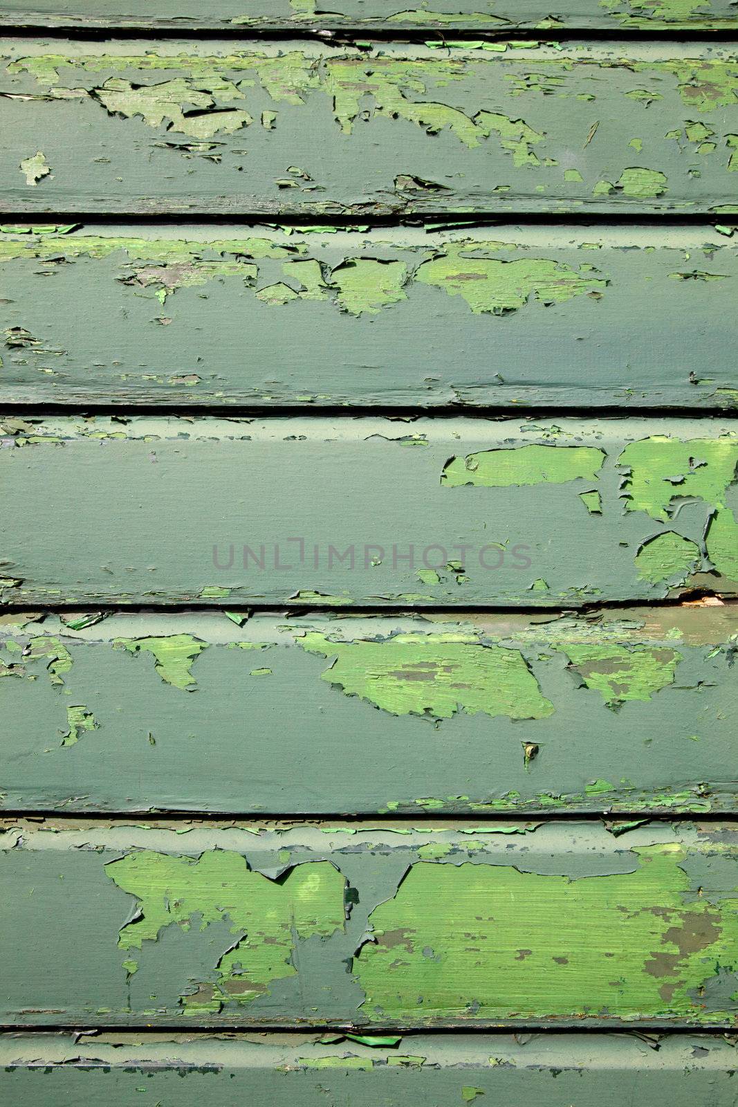 part of weathered old planks of green fencing or boarding