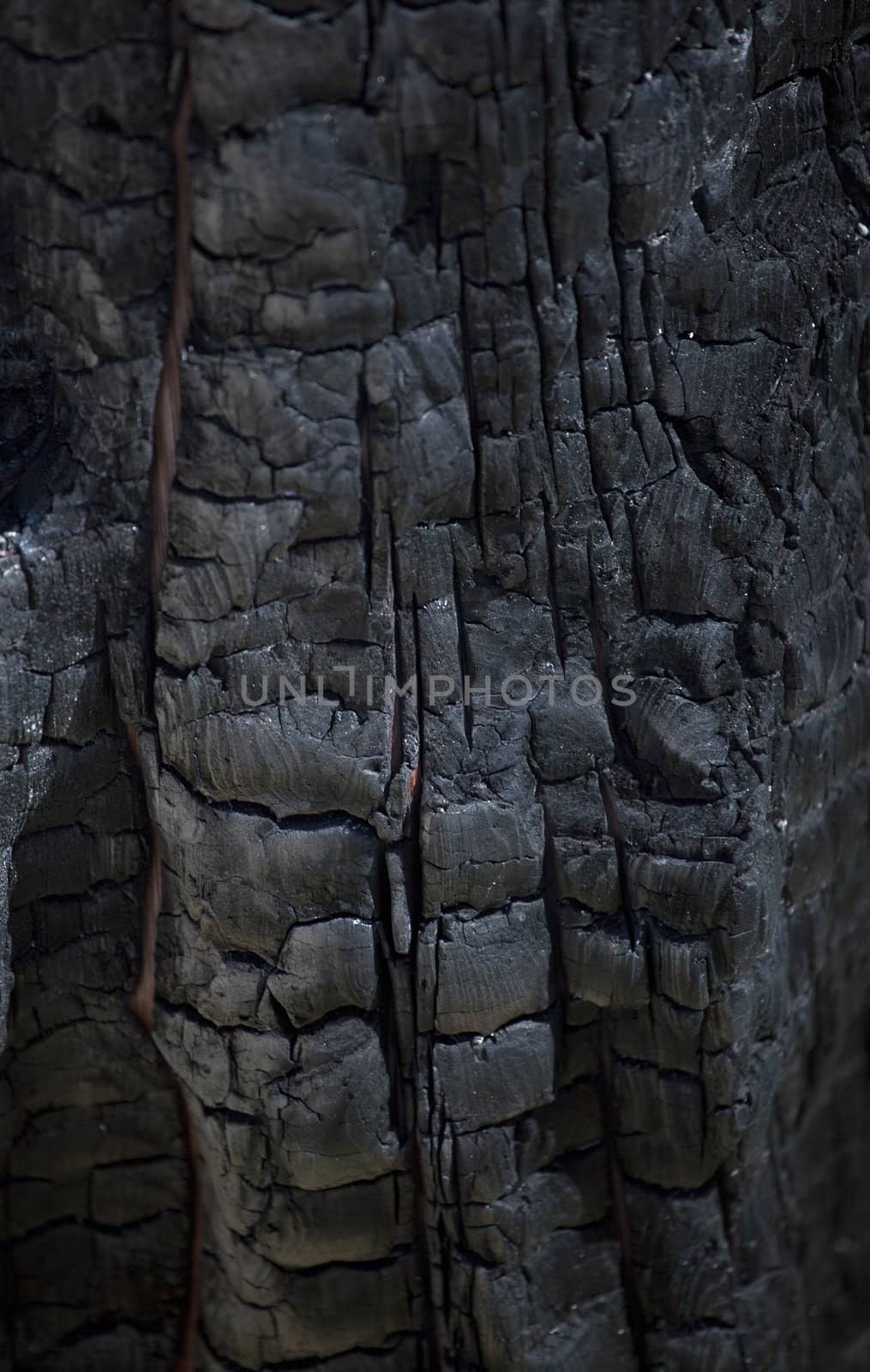 Close up of a black burned wood