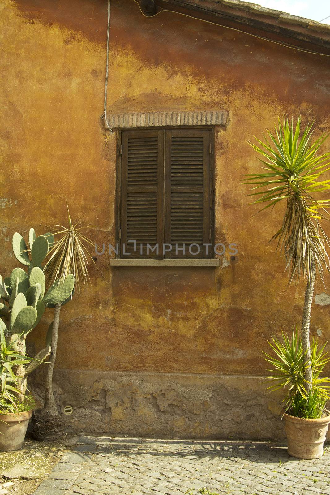 old window by danilobiancalana