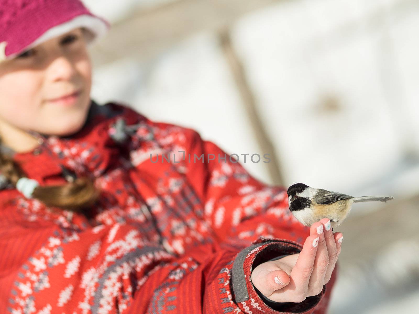 Girl feeding a bird by Talanis