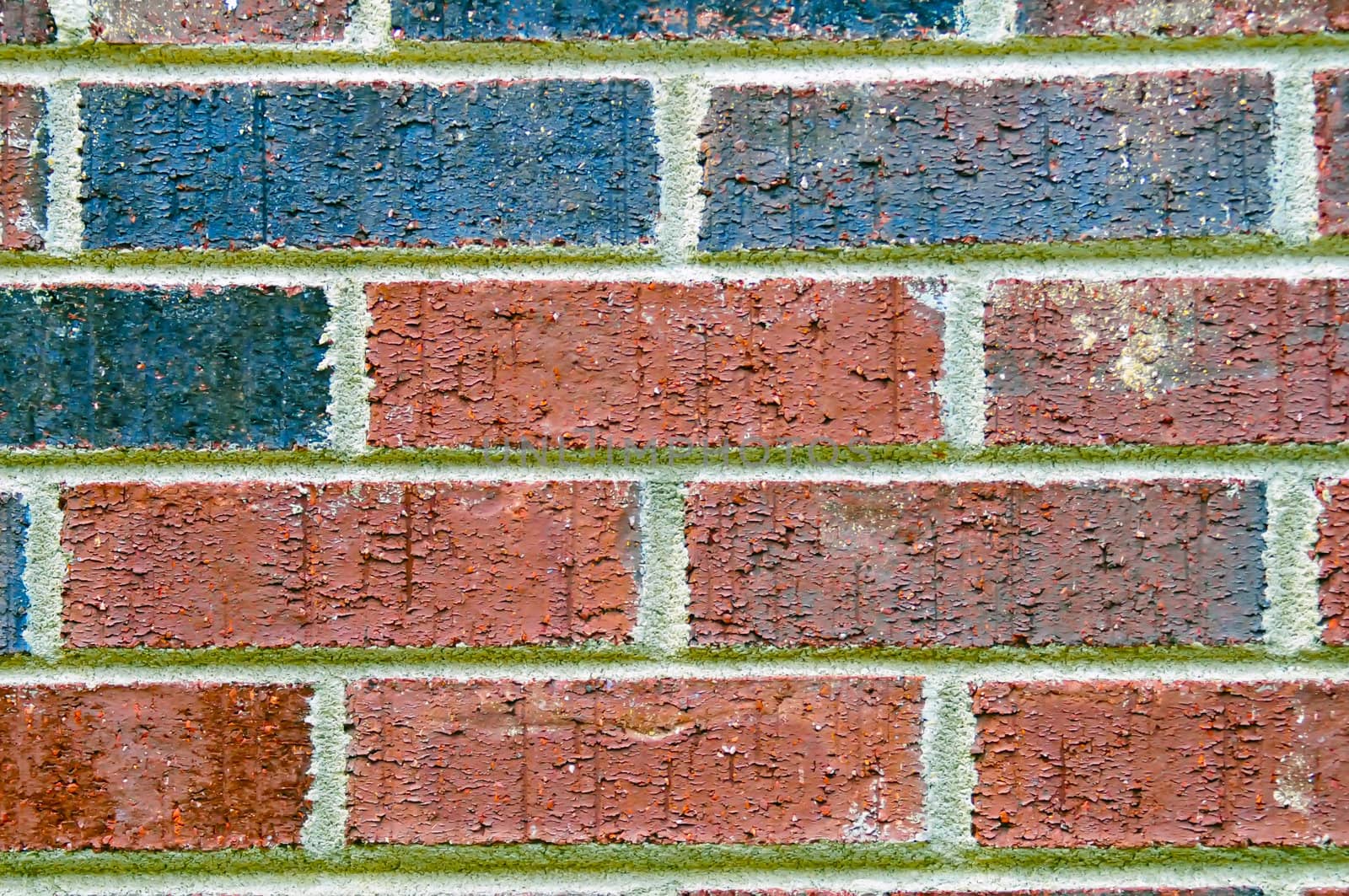 brick wall texture by digidreamgrafix