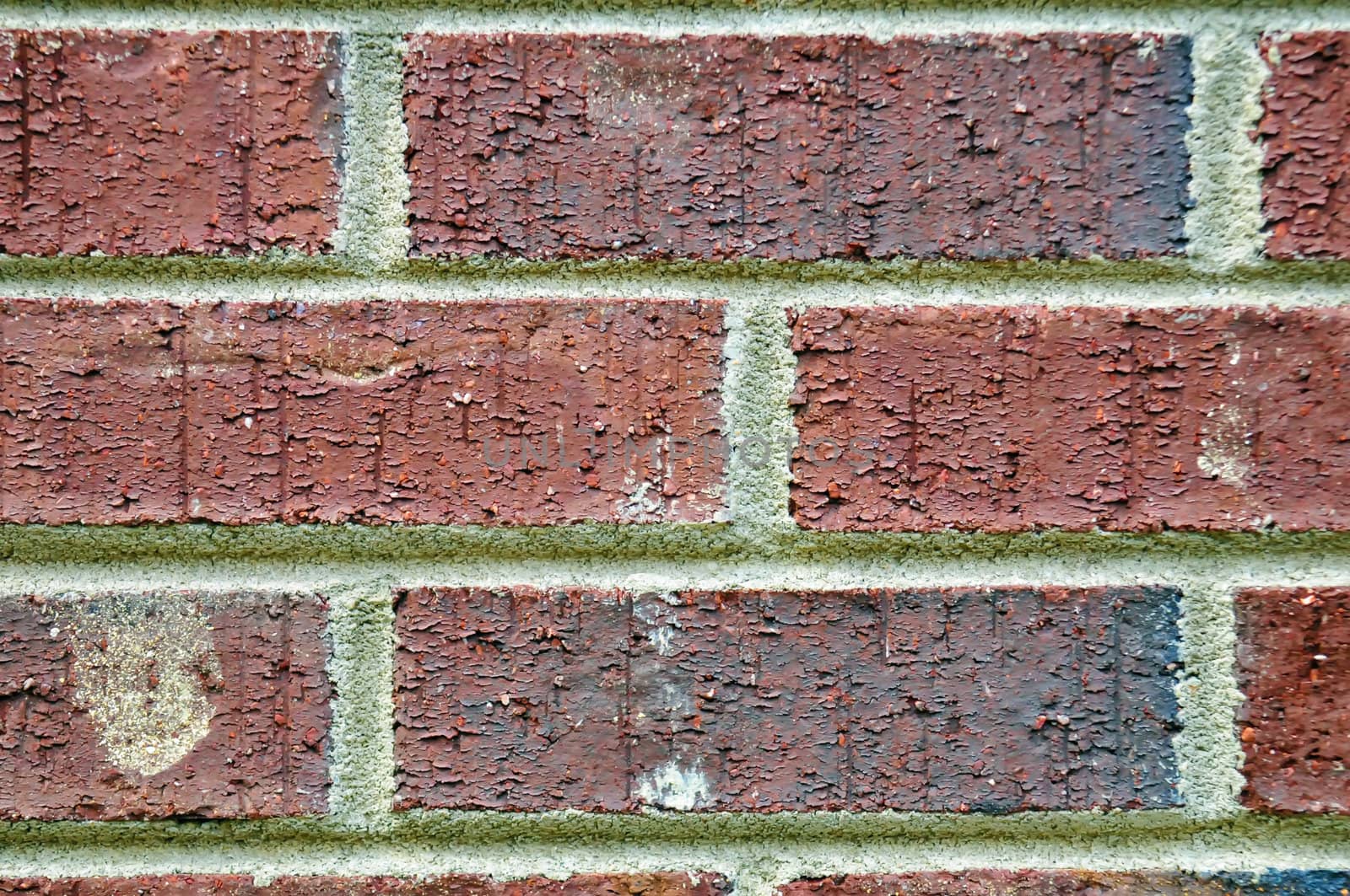 brick wall texture by digidreamgrafix