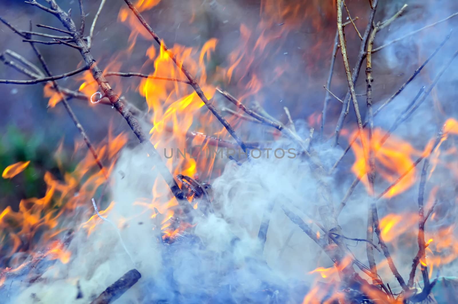 The start of a small Bonfire outside at night burning bright and hot with tall flames