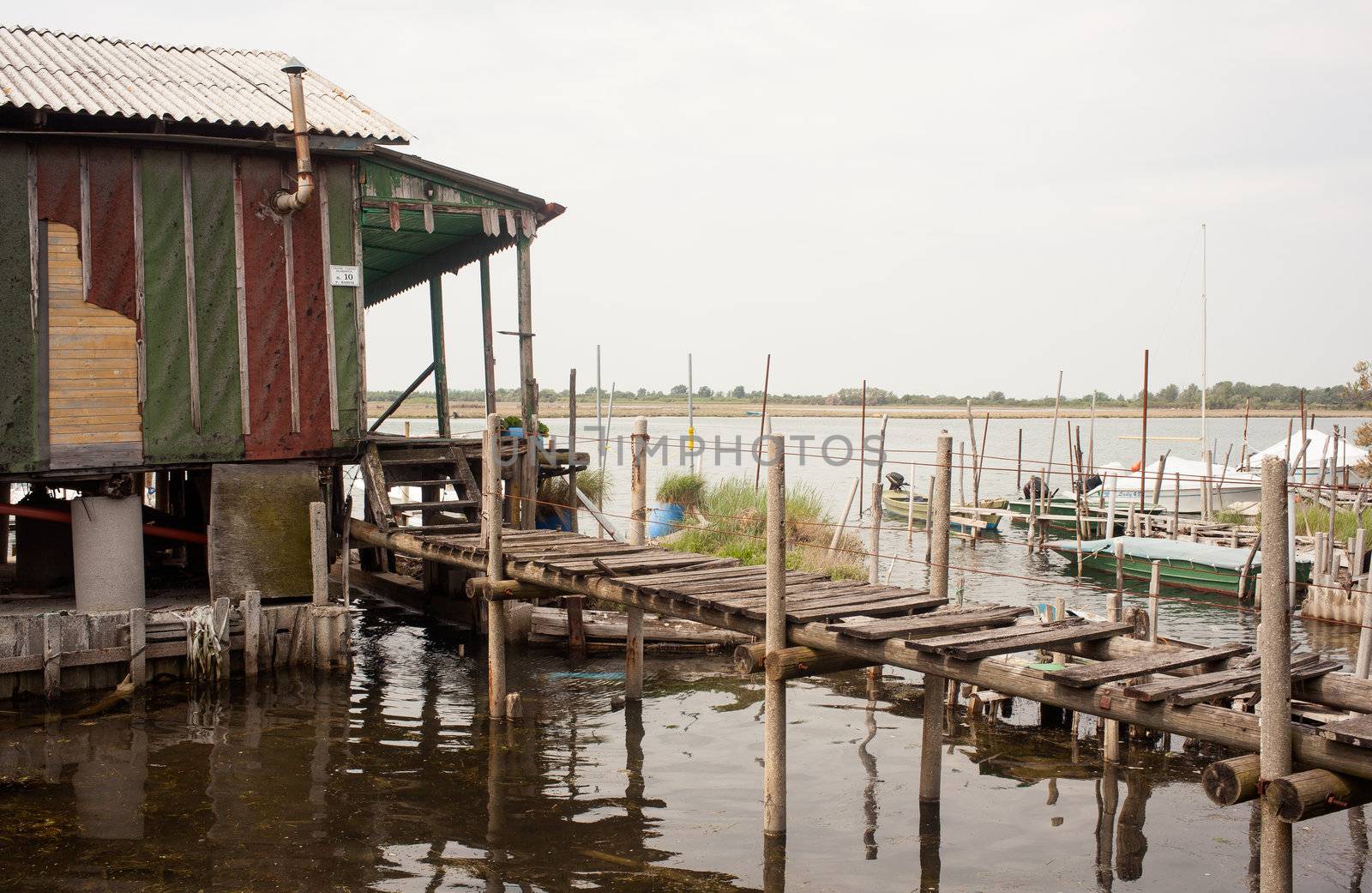 Stilts and old boat in the soca river, Isola della cona