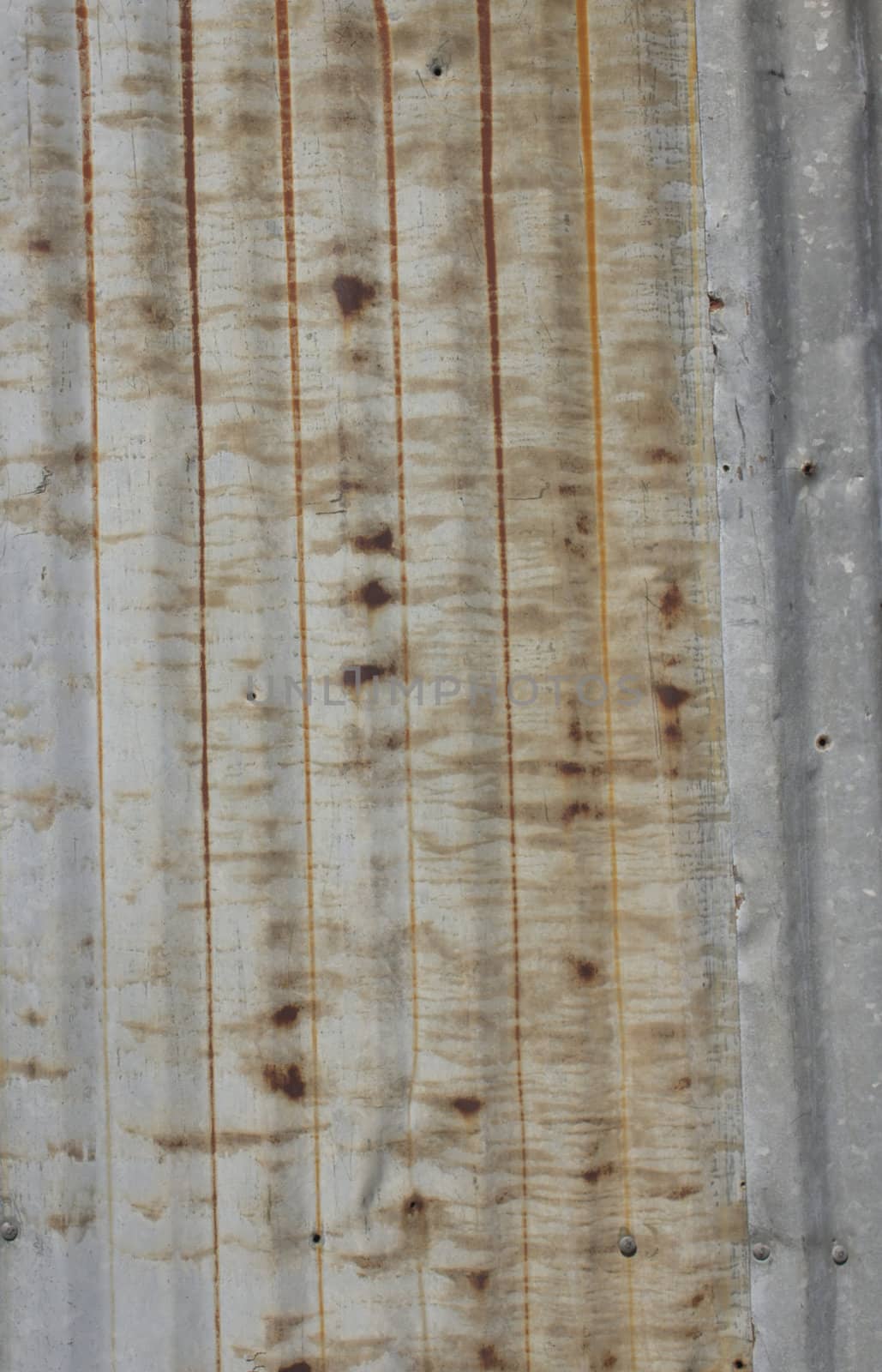 A rusty corrugated iron metal fence close up/ Zinc wall