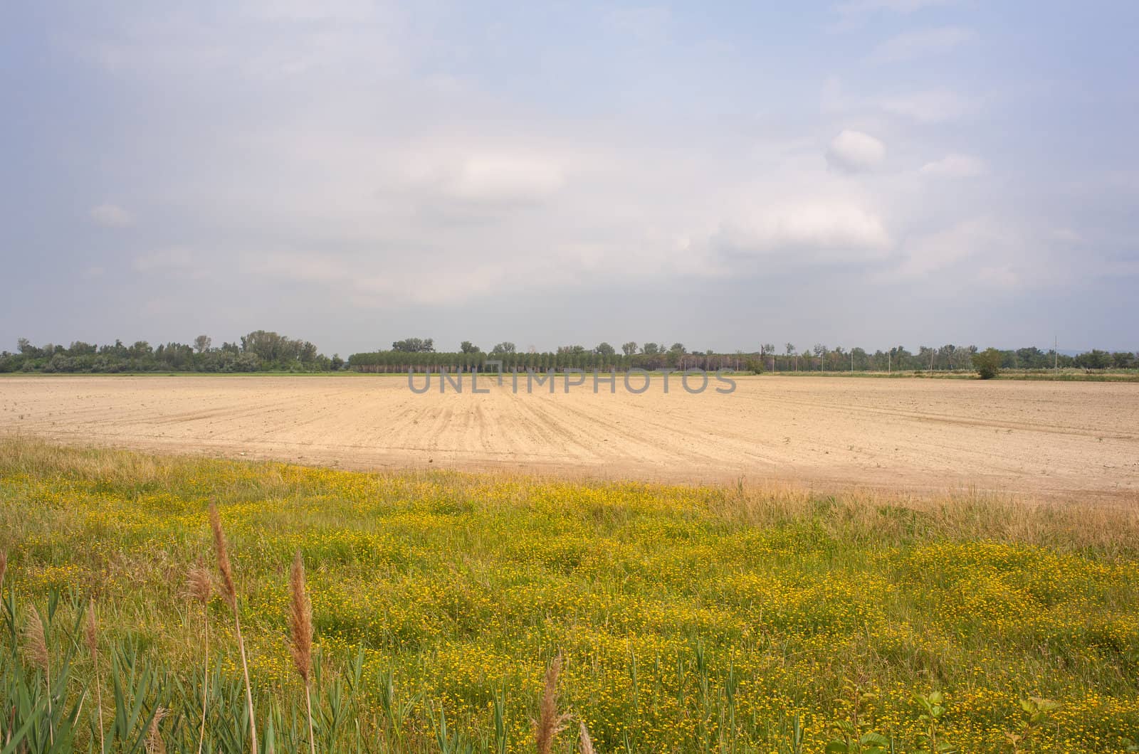 View of the countryside, Isola della cona