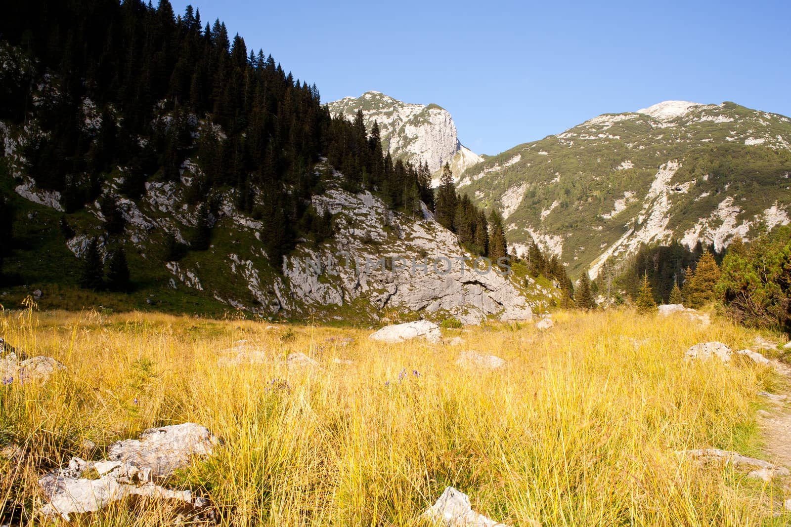 View of Krn mountain, Slovenian julian alps