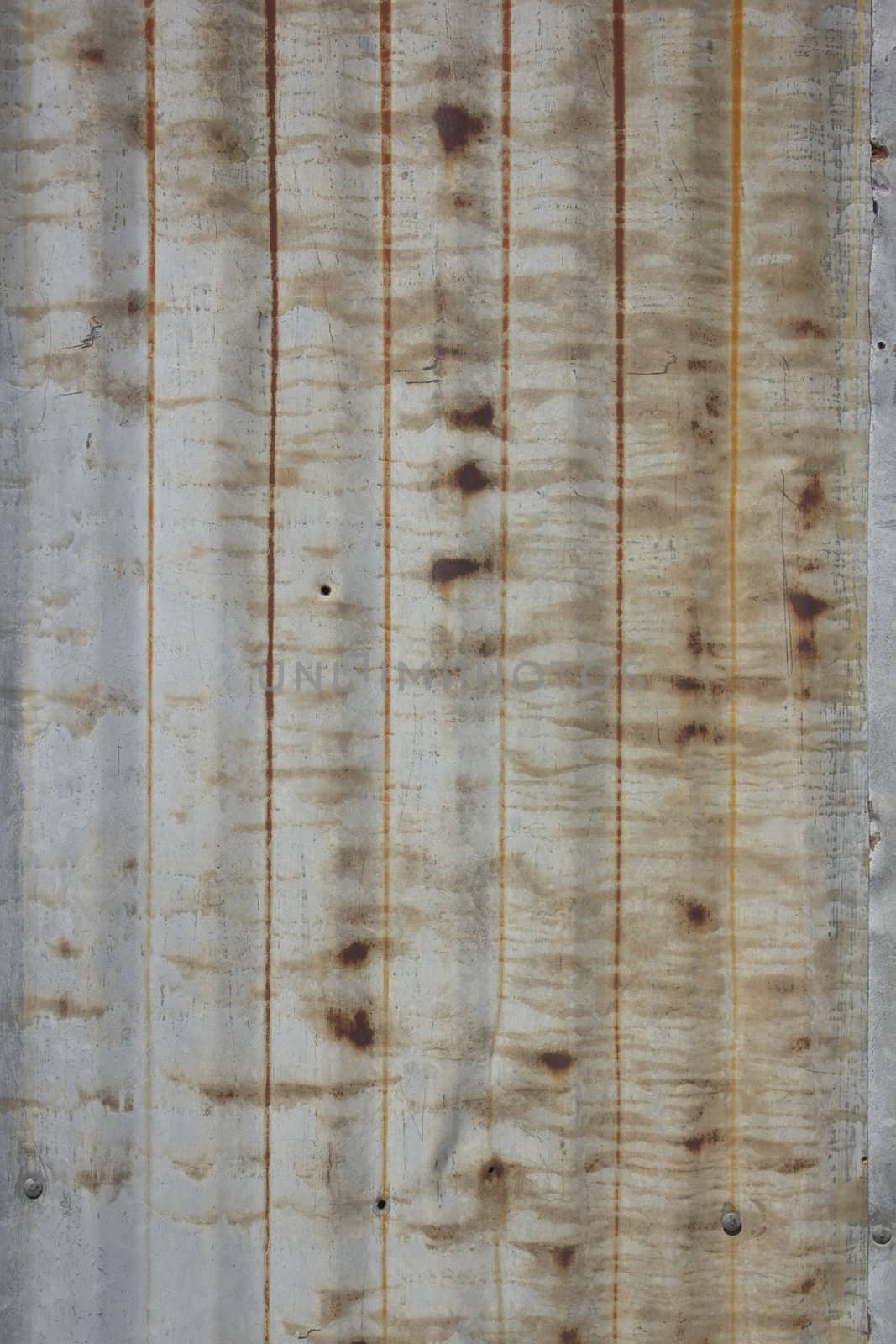 A rusty corrugated iron metal fence close up/ Zinc wall