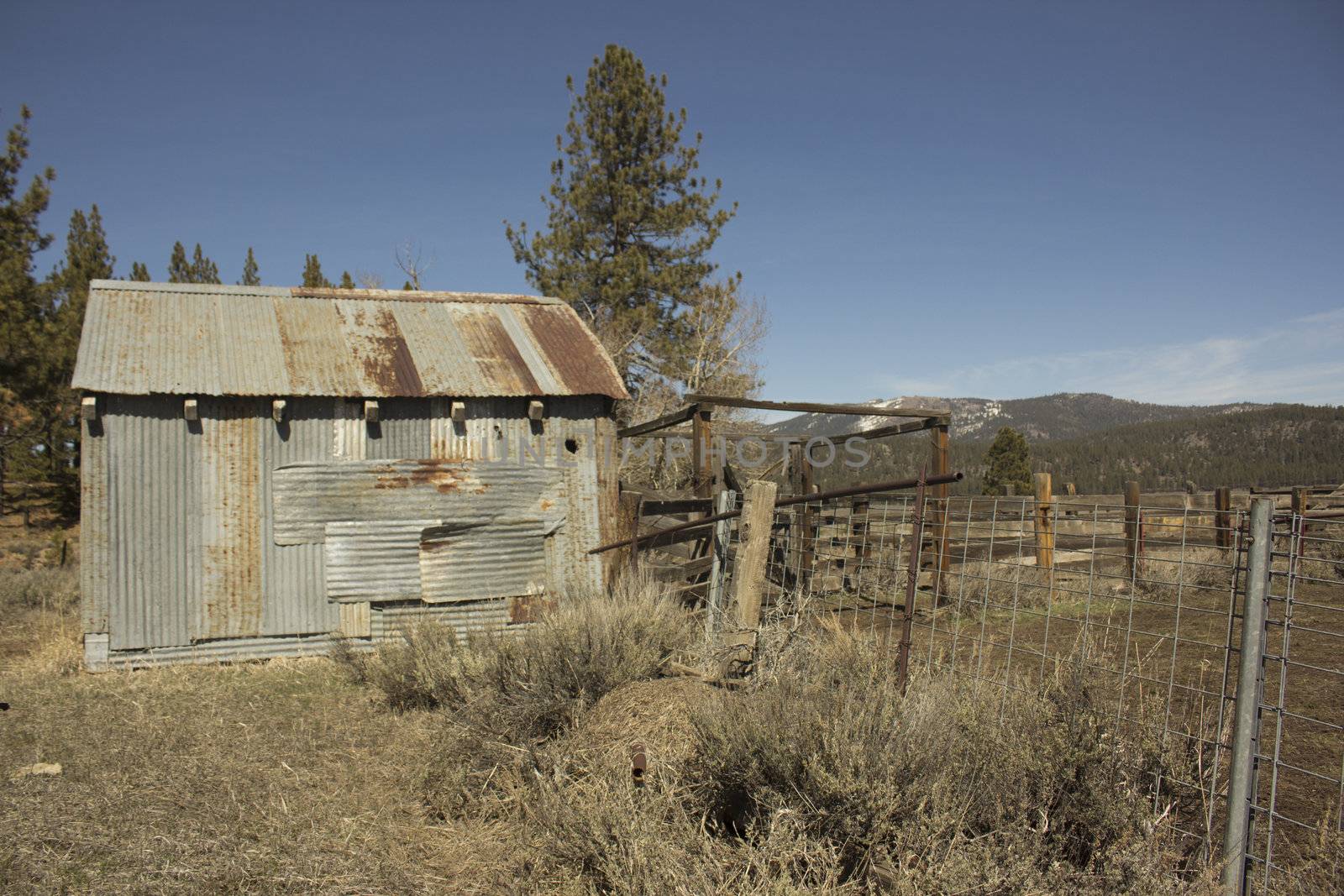 Old rusty miner's shack or cattle barn by jeremywhat