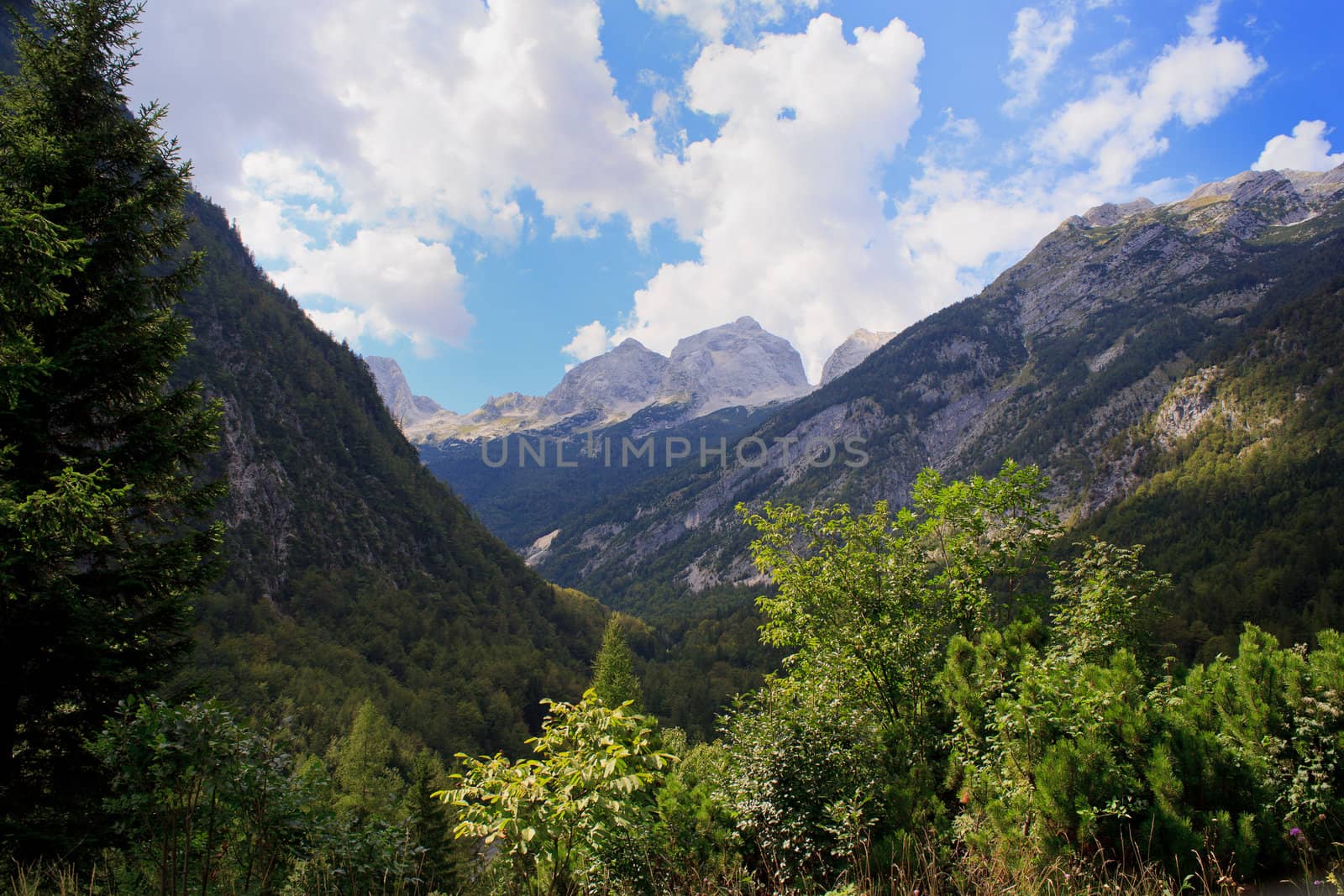 View of Julian Alps in the Slovenian countryside