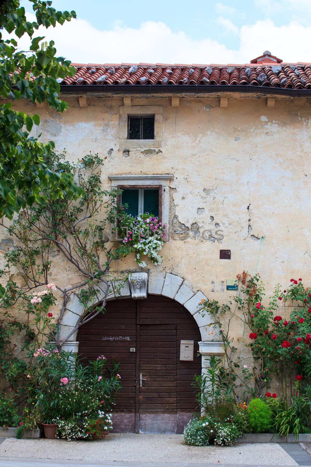 A lot of flowers pots in the facade house