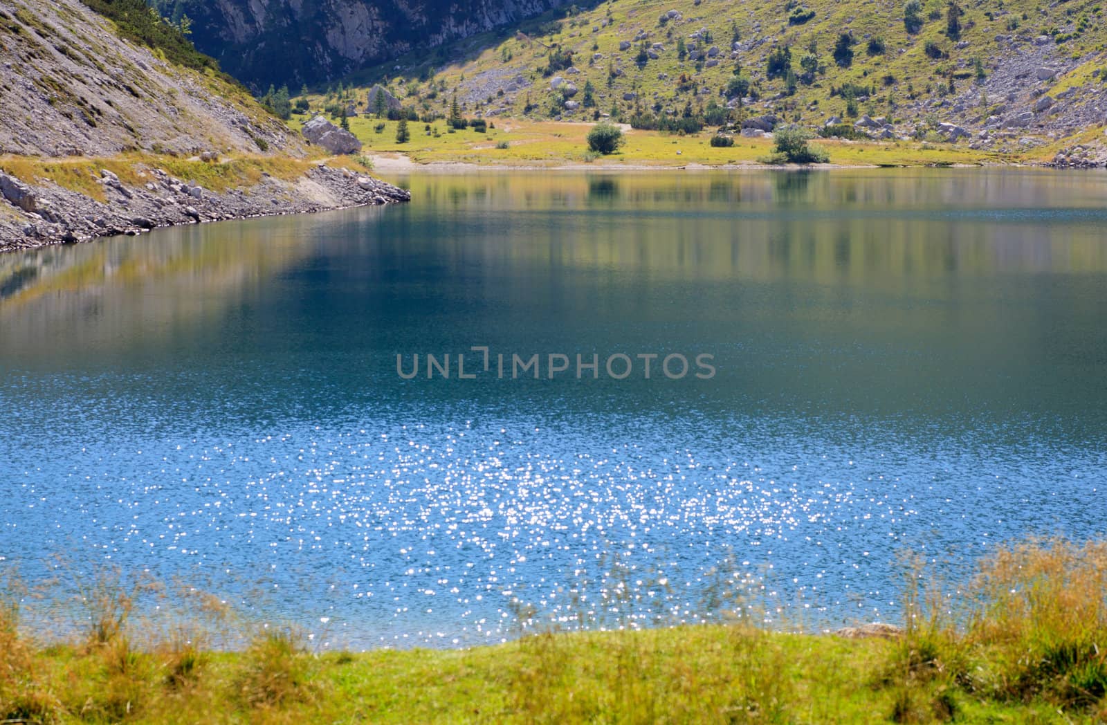 View of krnsko lake in the summer, Slovenia - Europe