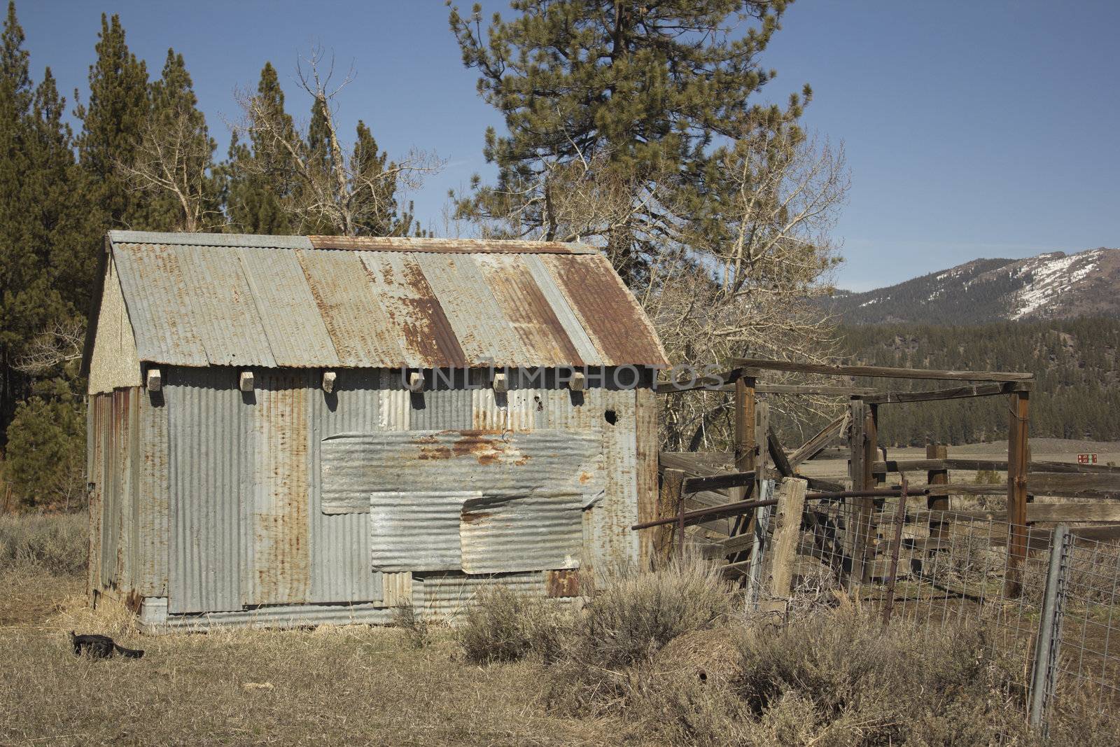 Old rusty miner's shack or cattle barn