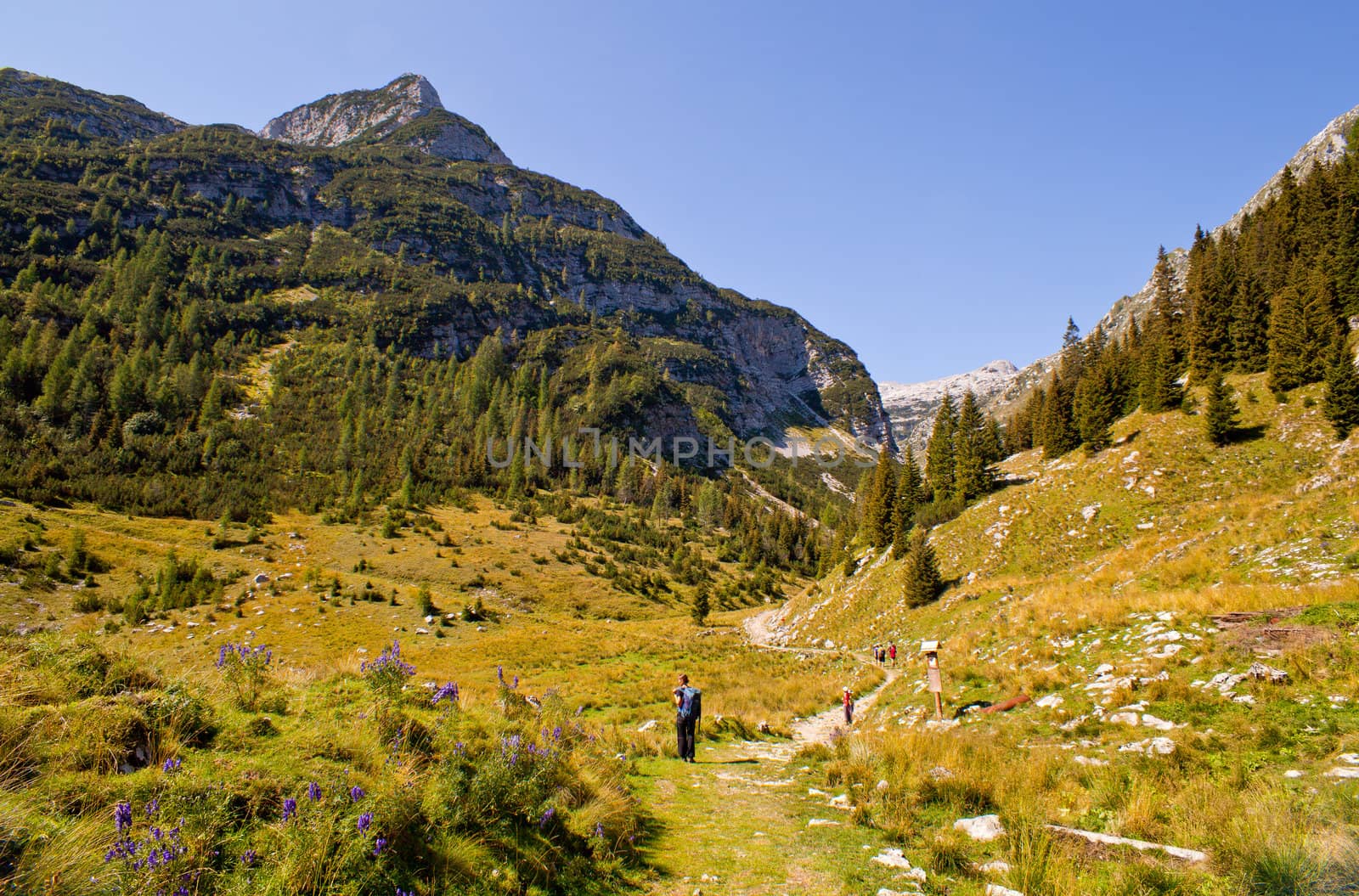 View of Krn mountain, Slovenian julian alps