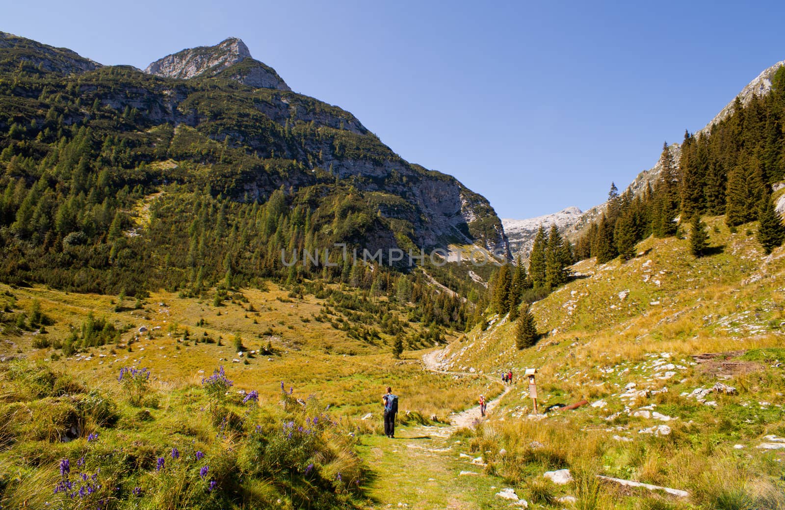 View of Krn mountain, Slovenian julian alps