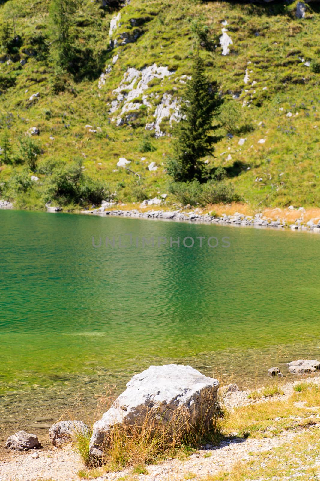 View of krnsko lake in the summer, Slovenia - Europe