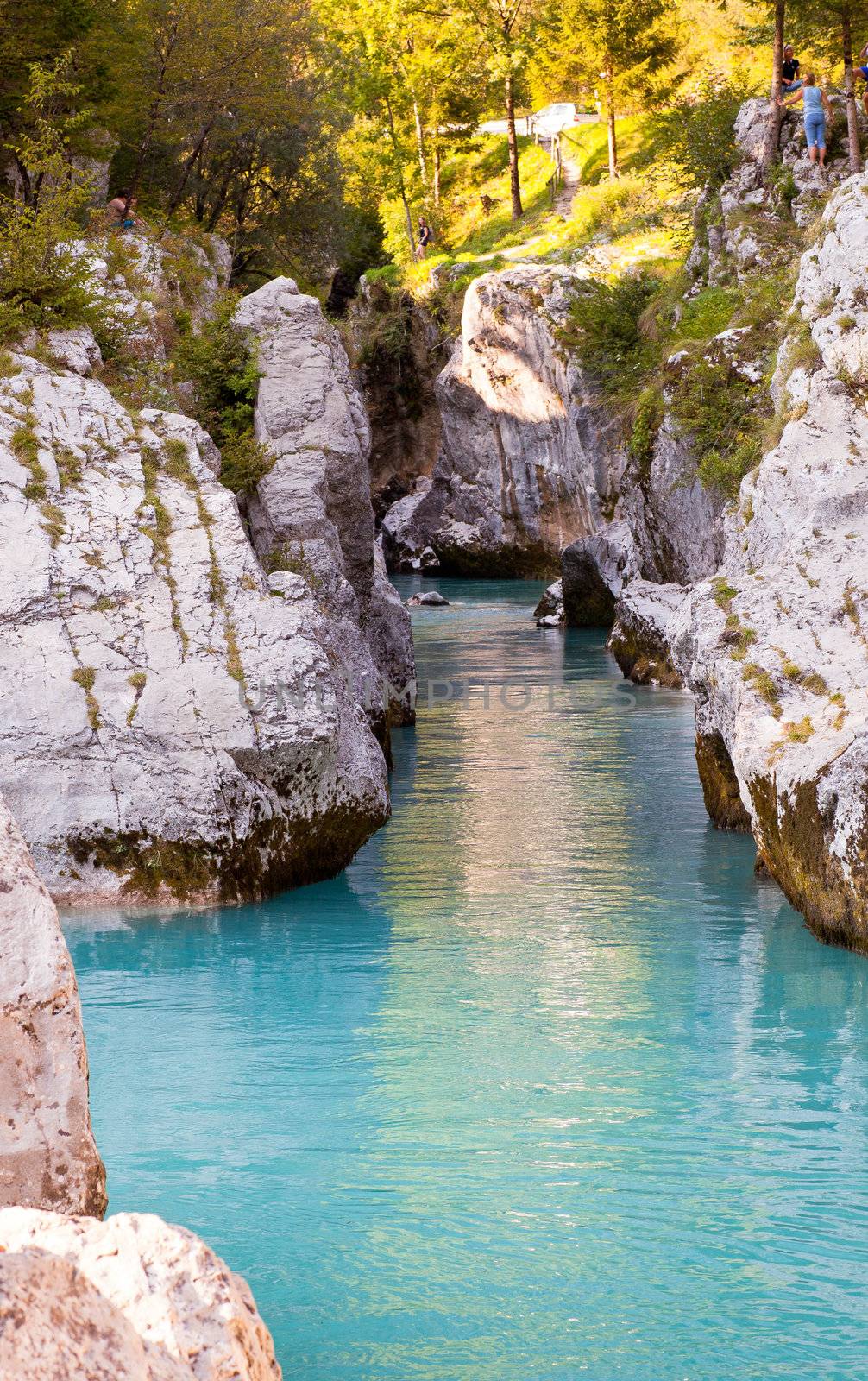 View of Slovenian Soca river in the summer