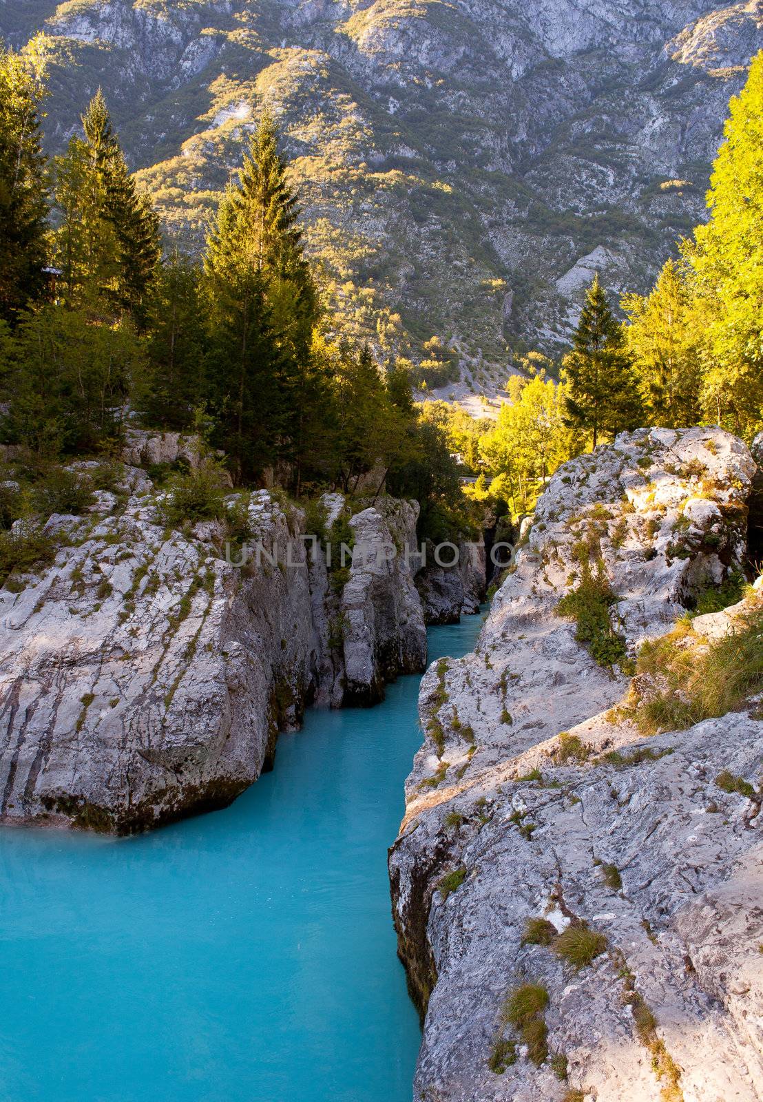 View of Slovenian Soca river in the summer