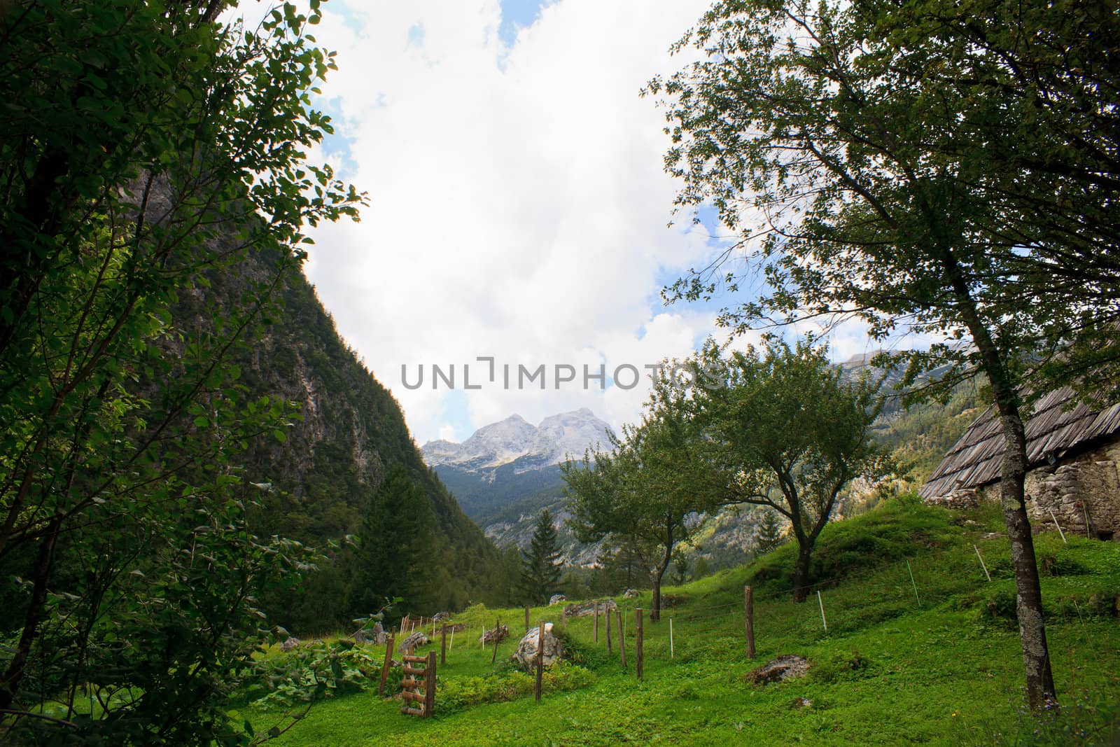 View of Slovenian Julian Alps in the summer