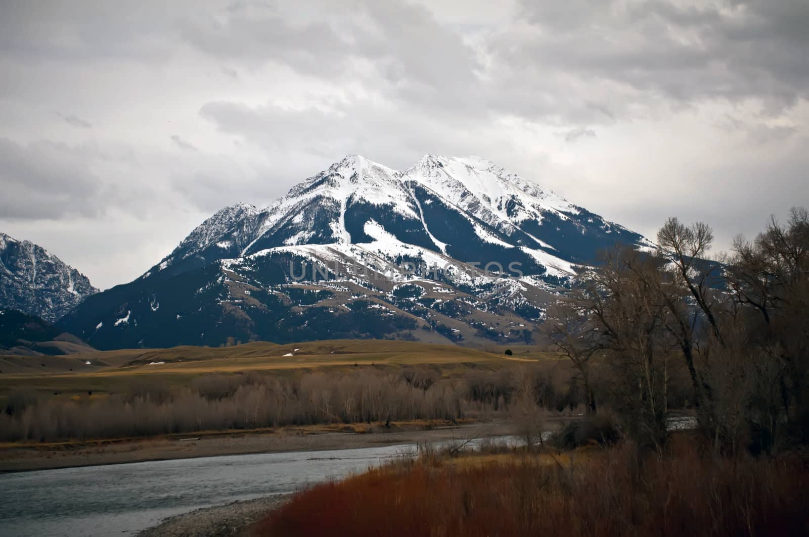 rocky mountains landscapes in montana yellowstone national park