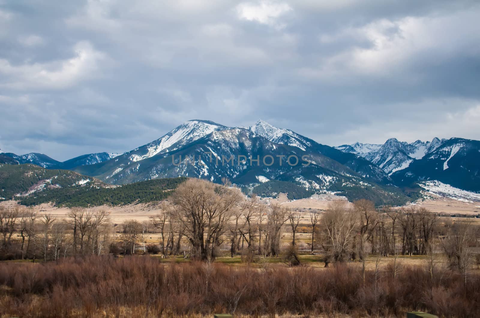 rocky mountains landscapes in montana yellowstone national park