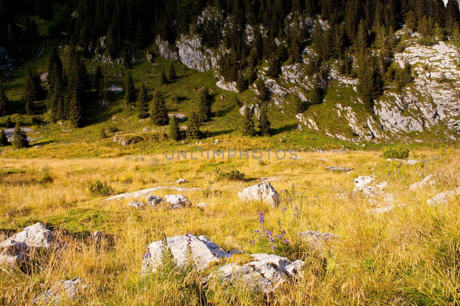 View of Krn mountain, Slovenian julian alps