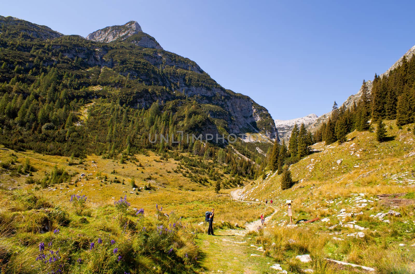 View of Krn mountain, Slovenian julian alps