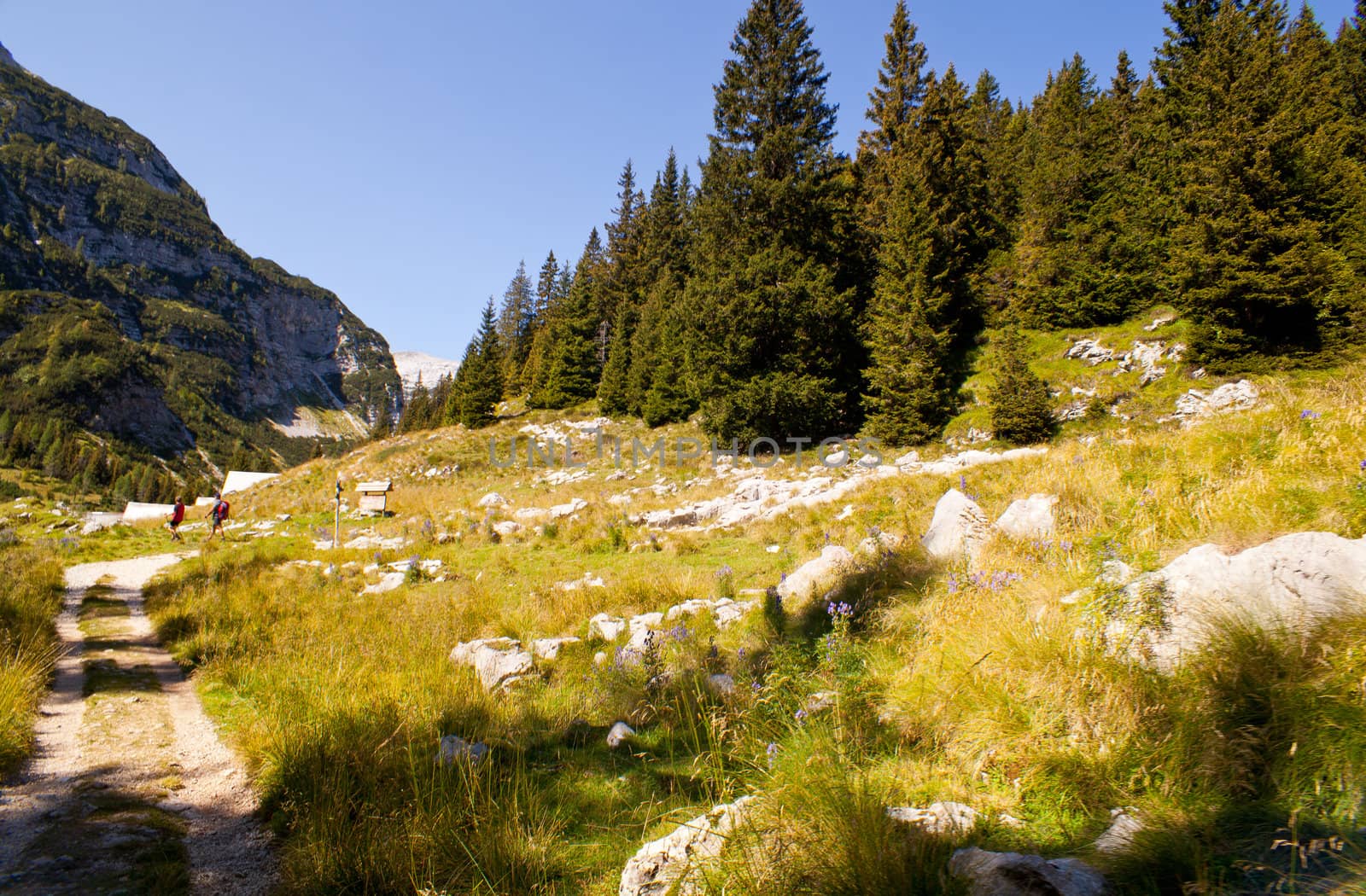 View of Krn mountain, Slovenian julian alps