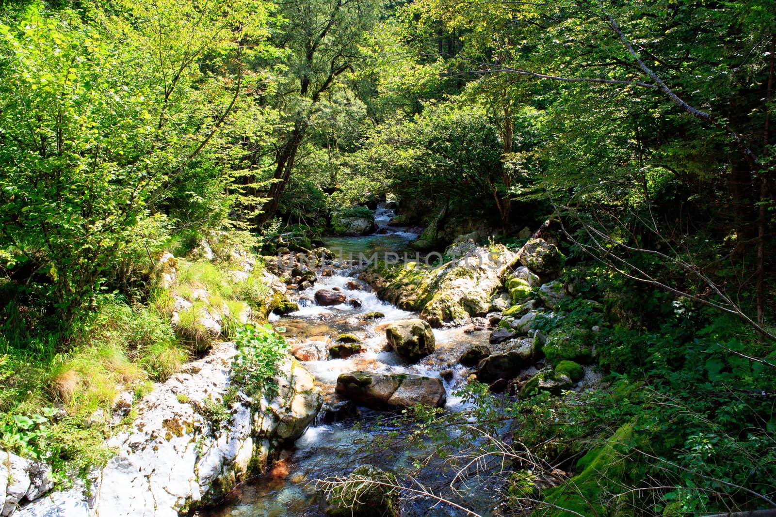 View of Waterfall in the Slovenian Julian Alps