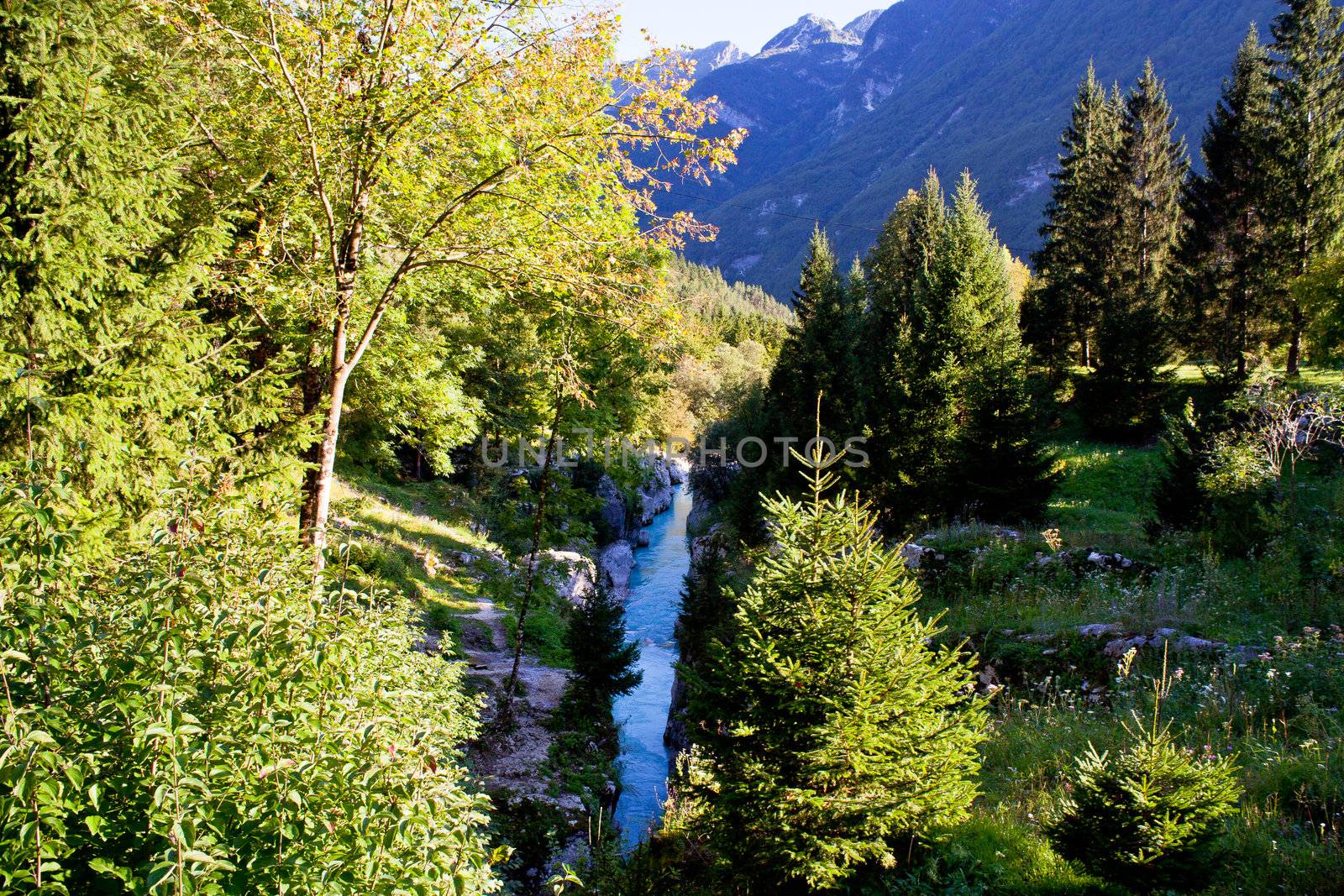 View of Slovenian Soca river in the summer