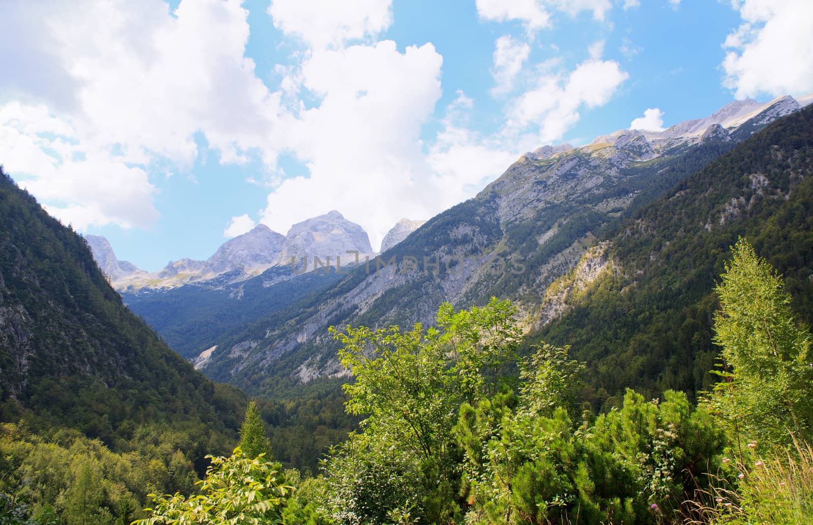 View of Julian Alps in the Slovenian countryside