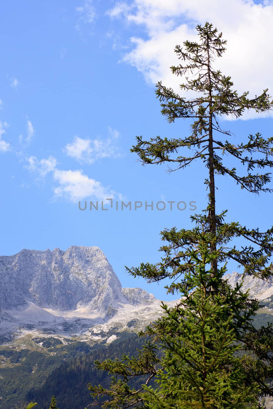 View of Julian Alps in the Slovenian countryside