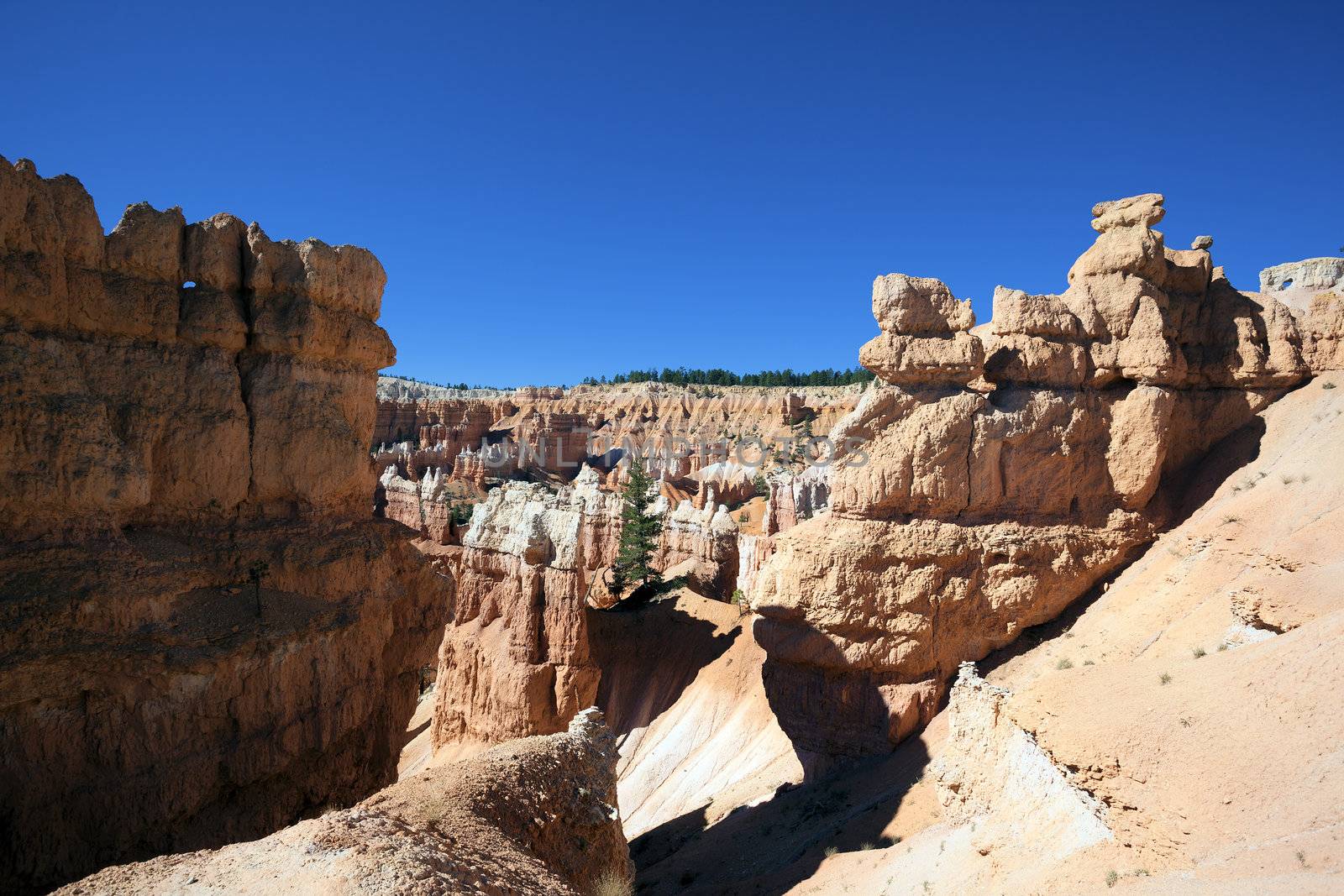 view of famous Navajo Trail in Bryce Canyon, Utah 