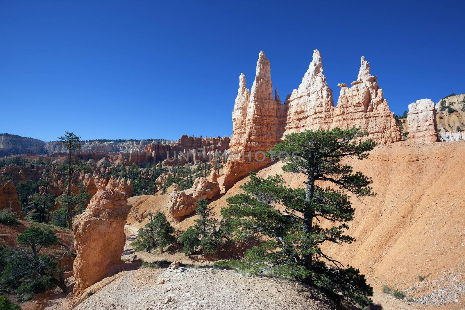 view of famous Navajo Trail in Bryce Canyon, Utah, USA