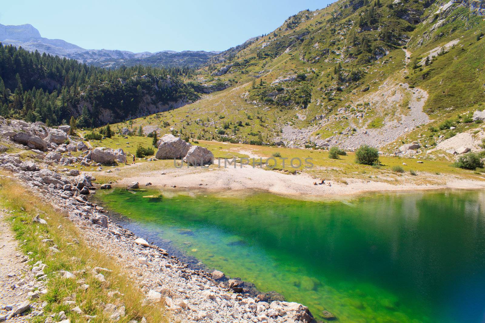 View of krnsko lake in the summer, Slovenia - Europe