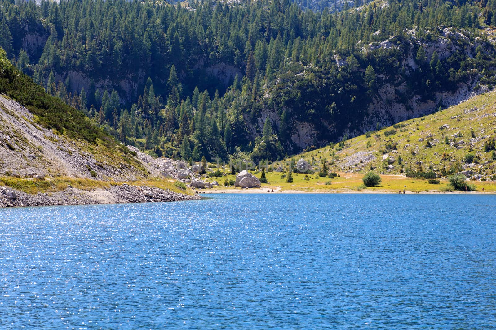 View of krnsko lake in the summer, Slovenia - Europe