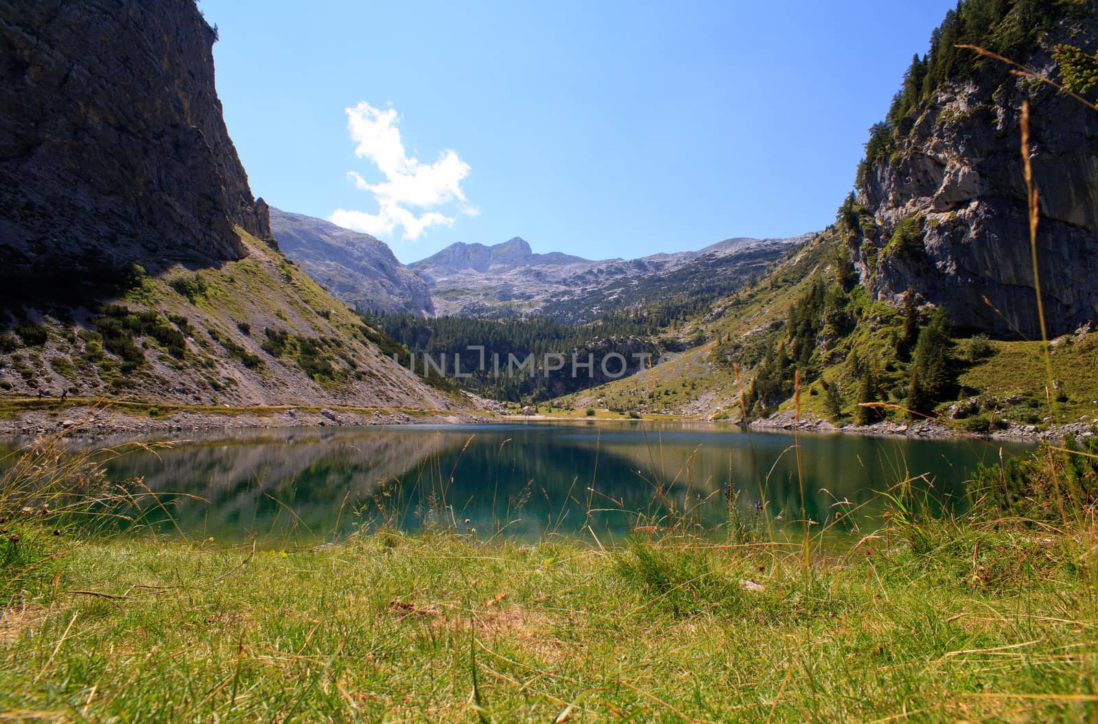 View of krnsko lake in the summer, Slovenia - Europe