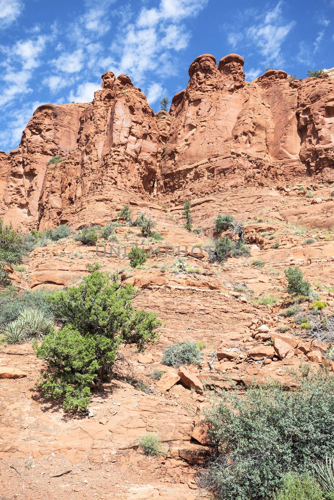 Vertical view of wilderness landscape near Sedona