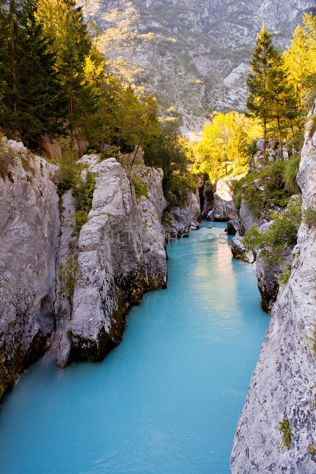 View of Slovenian Soca river in the summer