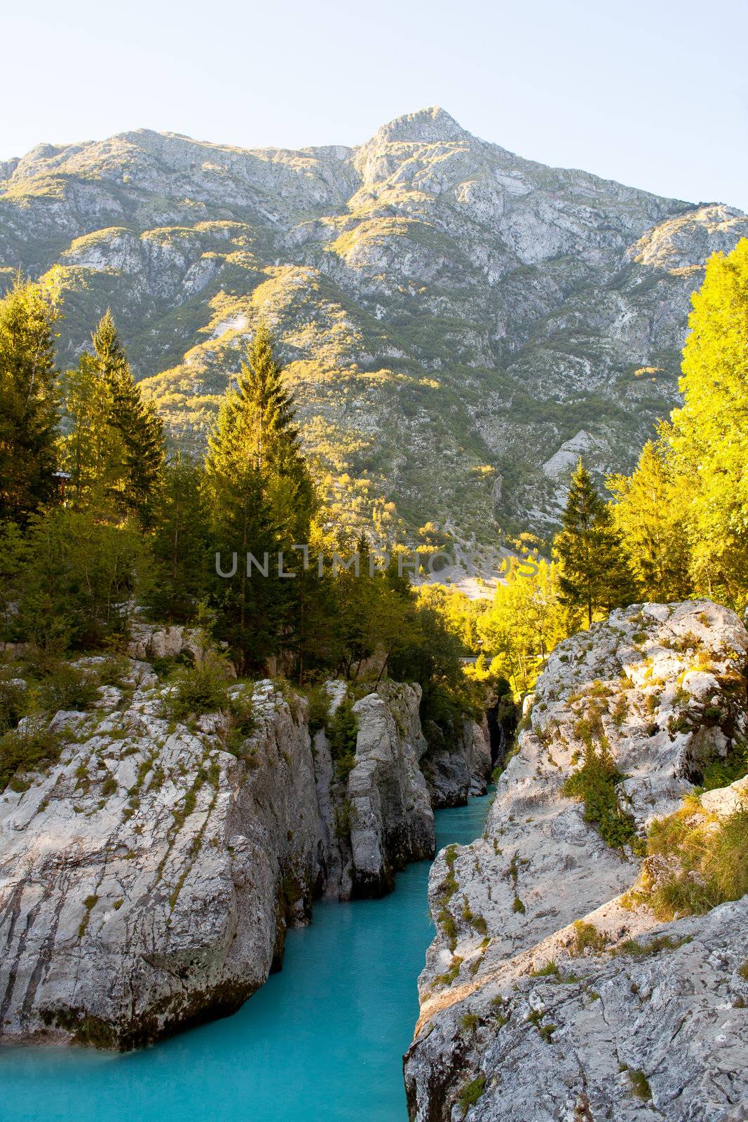 View of Slovenian Soca river in the summer