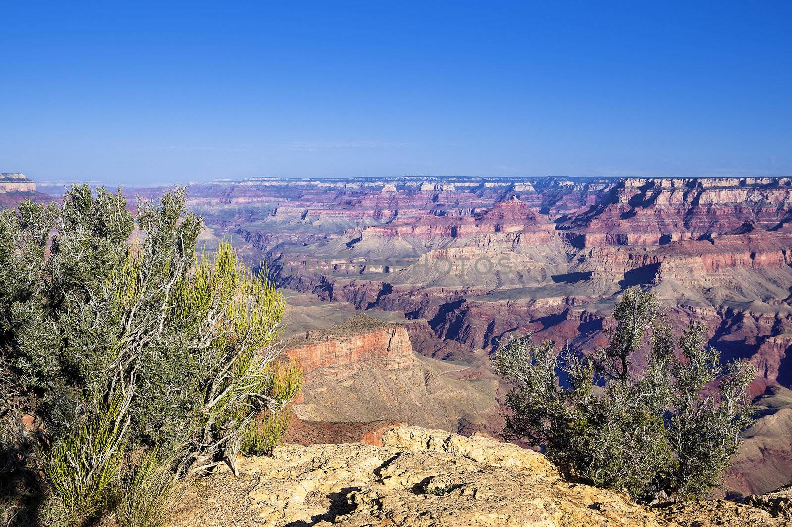 Famous Grand Canyon view by vwalakte
