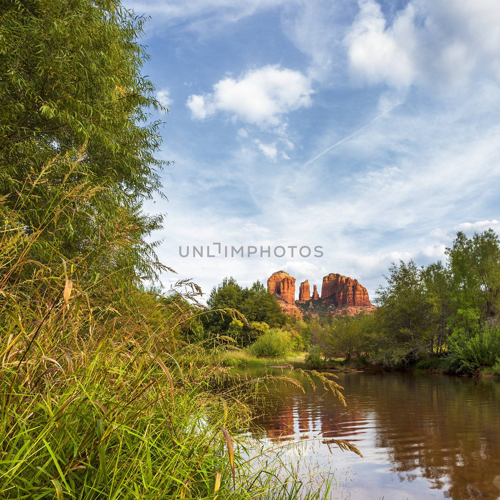 View of Cathedral Rock by vwalakte