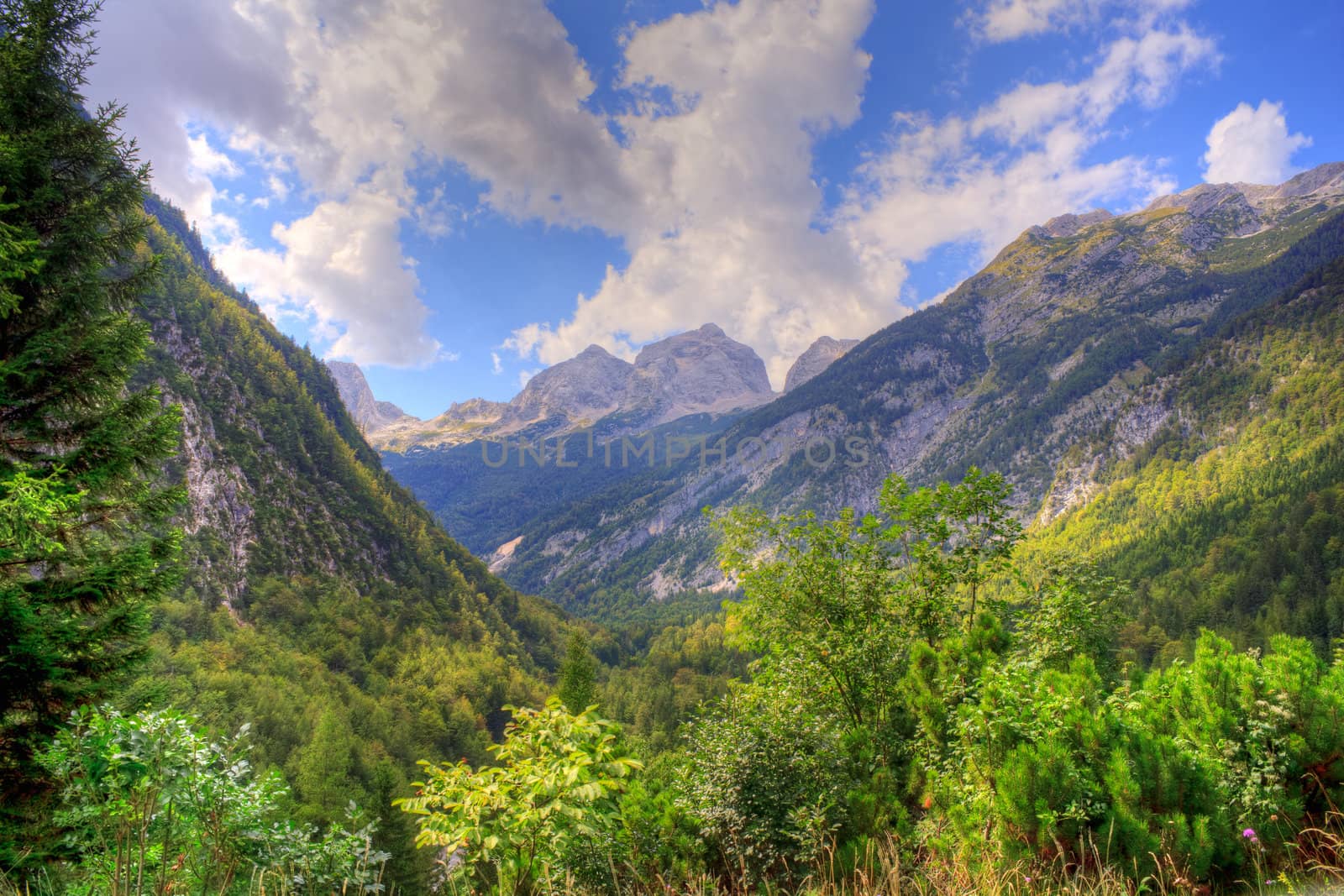 View of Julian Alps in the Slovenian countryside
