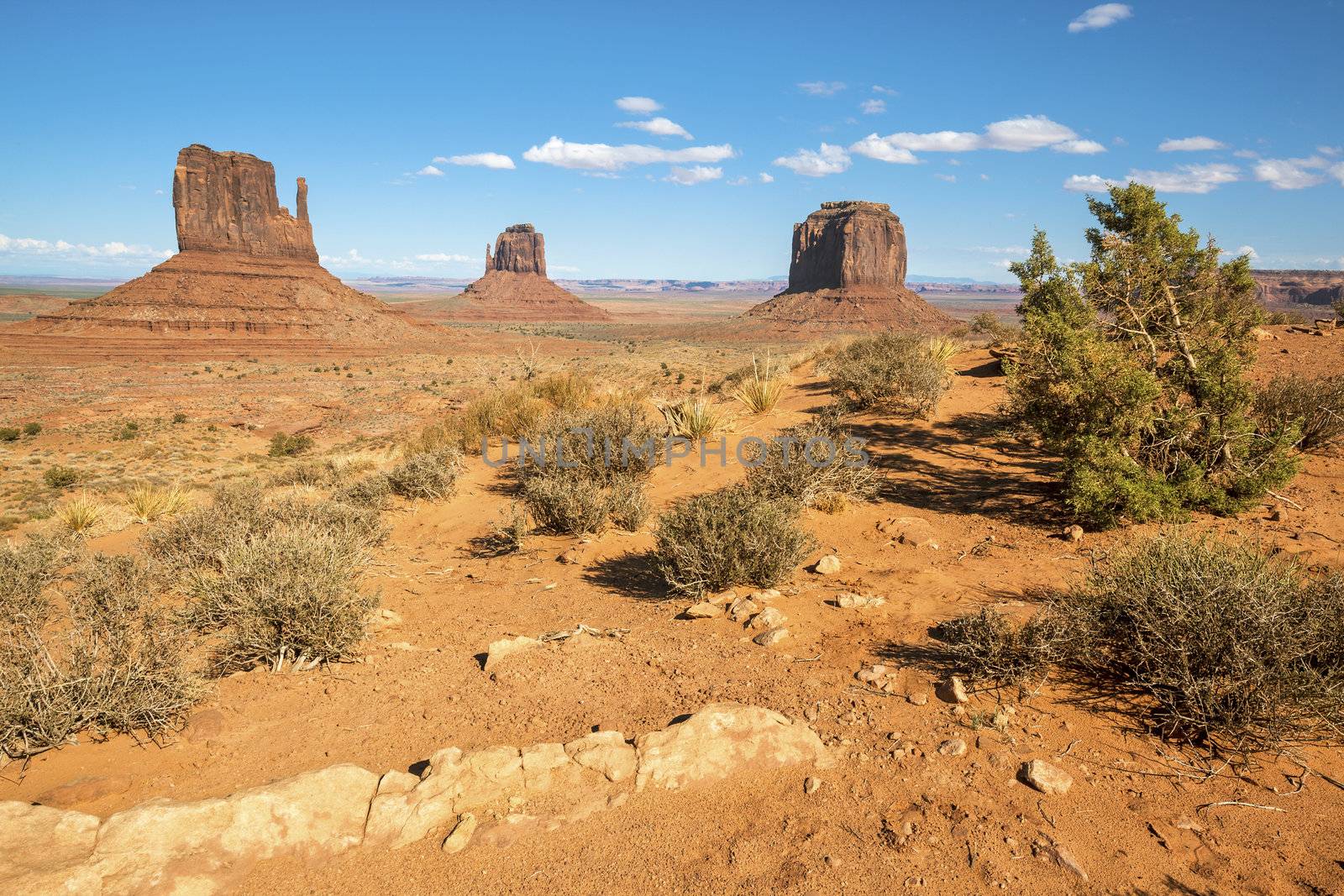 Famous landscape of Monument Valley by vwalakte