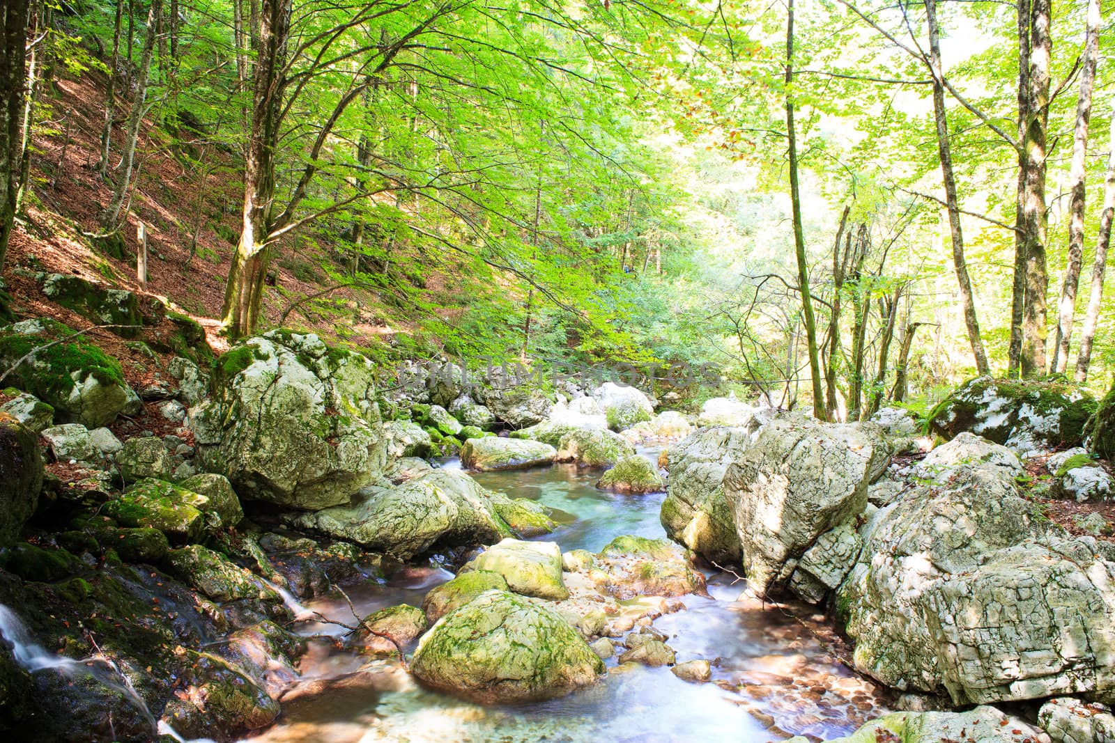 View of Waterfall in the Slovenian Julian Alps