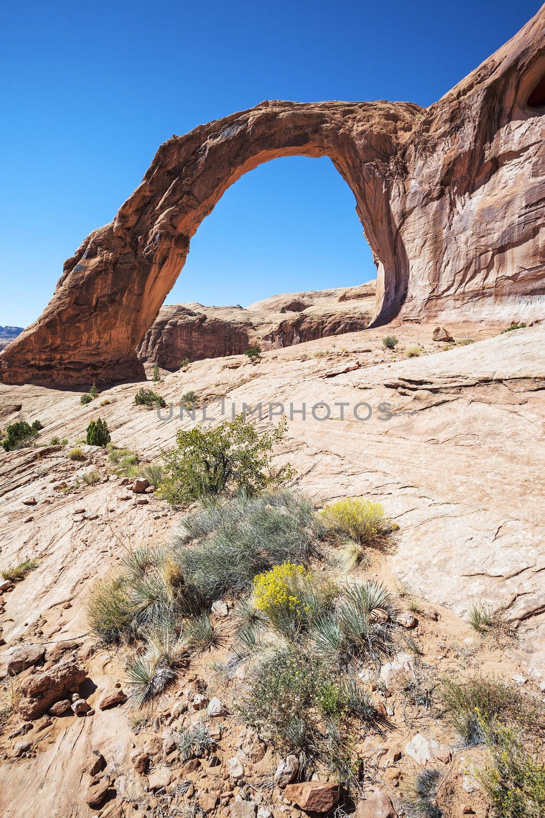 Vertical view of the famous Corona Arch, USA