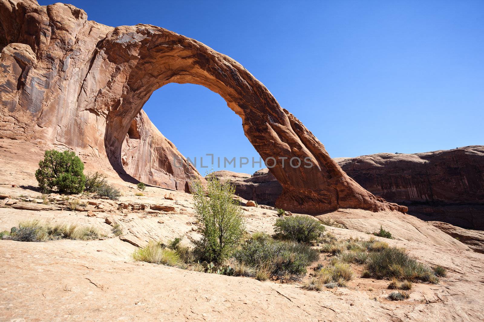 View of the famous Corona Arch by vwalakte