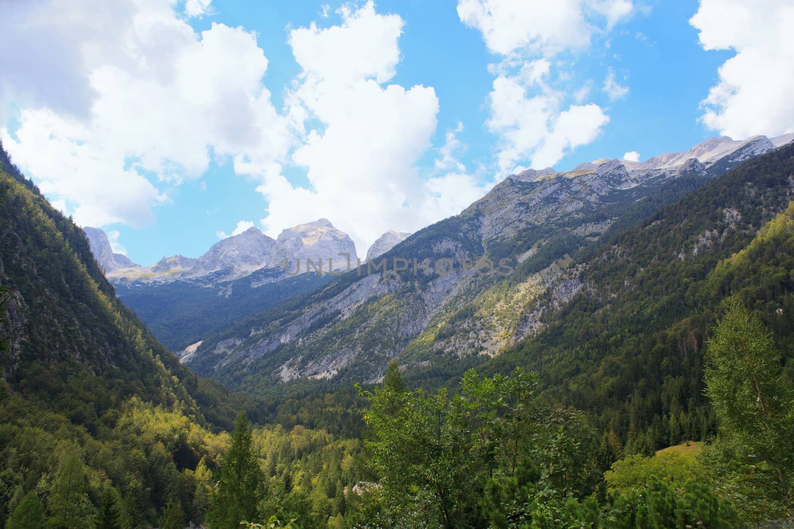 View of Julian Alps in the Slovenian countryside
