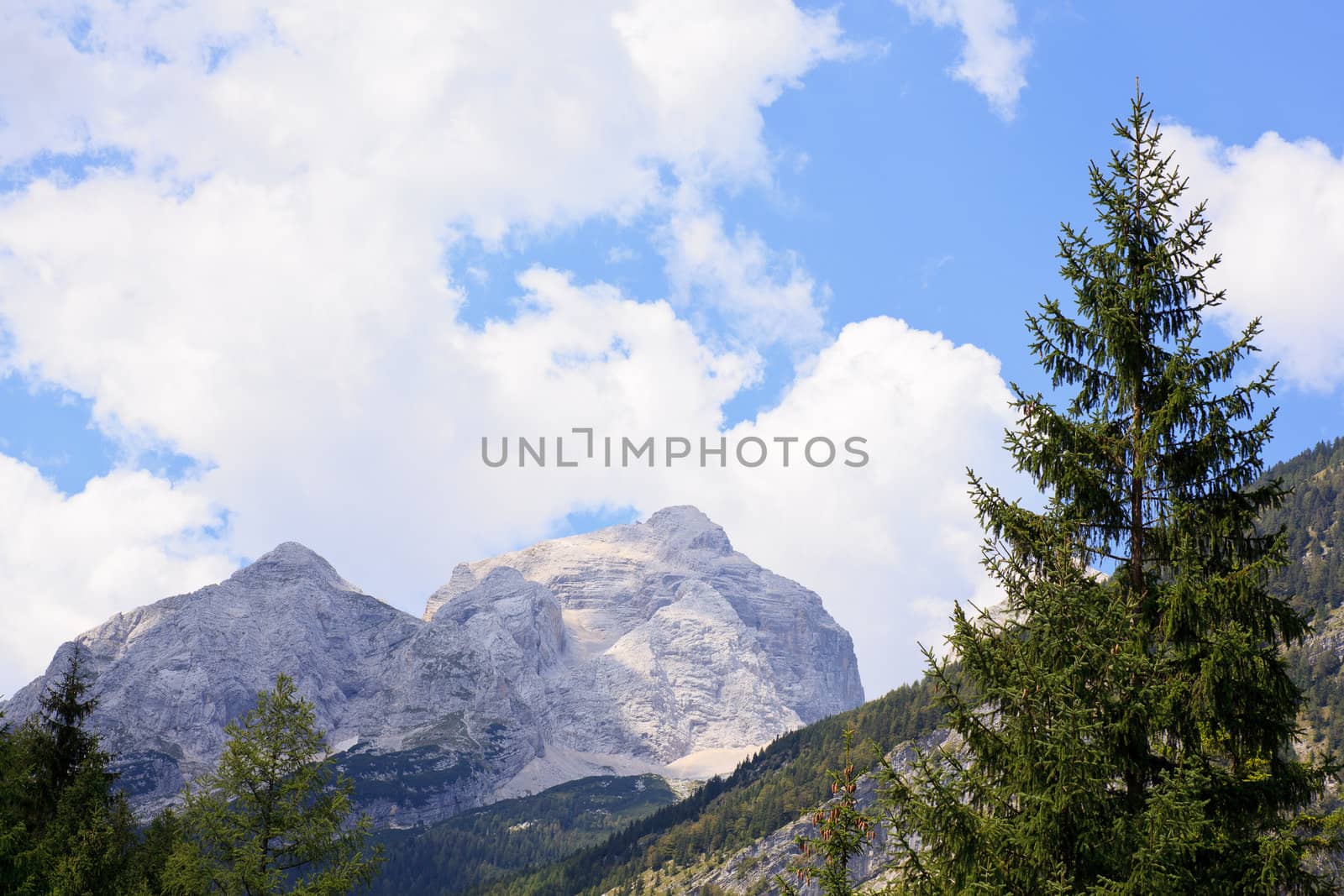 View of Julian Alps in the Slovenian countryside
